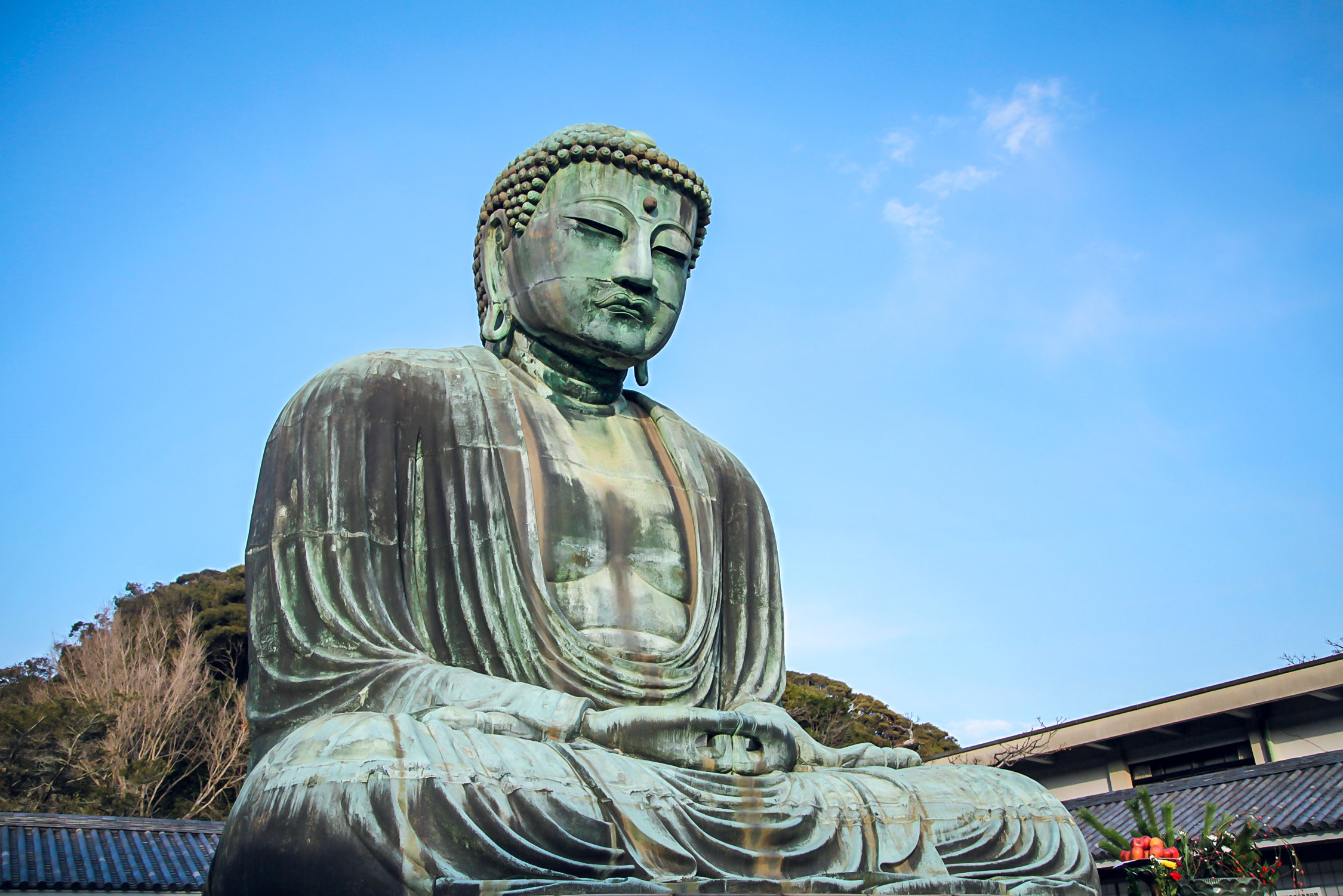 镰仓大佛 Kotokuin Great Buddha of Kamakura