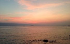 深圳南澳真人cs野战拓展基地天气预报,历史气