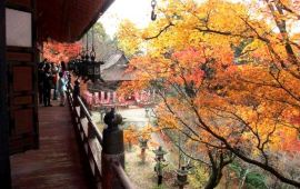 奈良谈山神社天气预报,历史气温,旅游指数,谈山