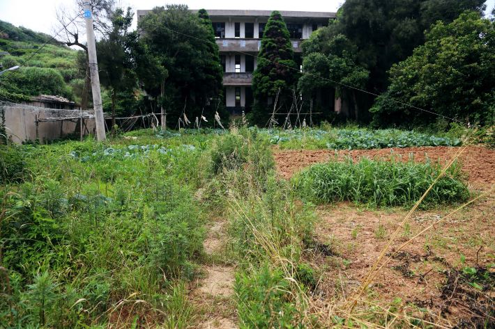 后无期舟山东极岛周末2日攻略v攻略自由行,东拳击文艺俱乐部图片