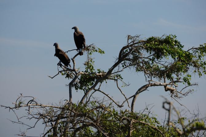亲子游斯里兰卡8日7晚自由行实用攻略 - 斯里兰