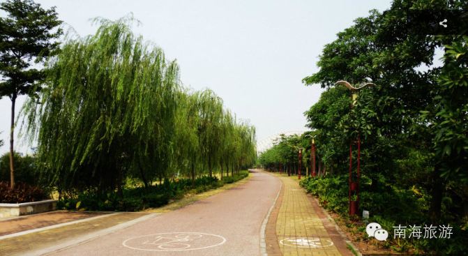 桂城三山:南海最后的疍家水乡 唱着最后的咸水