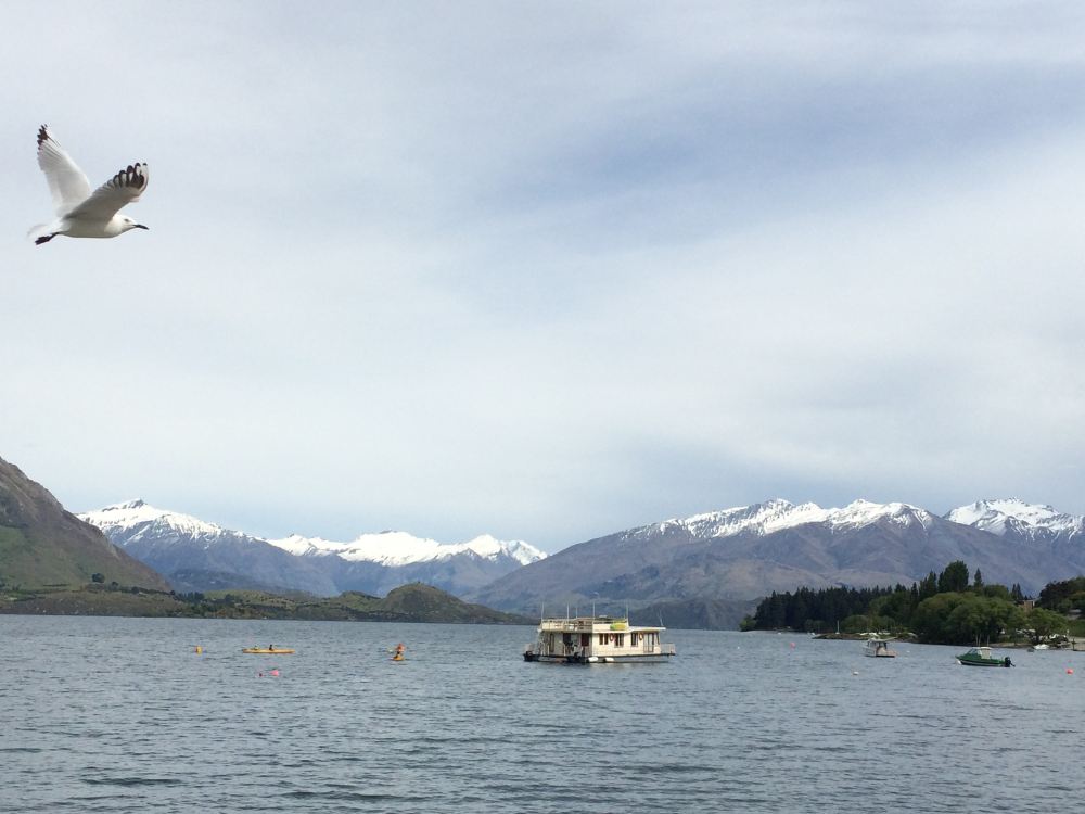 100%纯净新西兰之旅 - 基督城游记攻略【携程