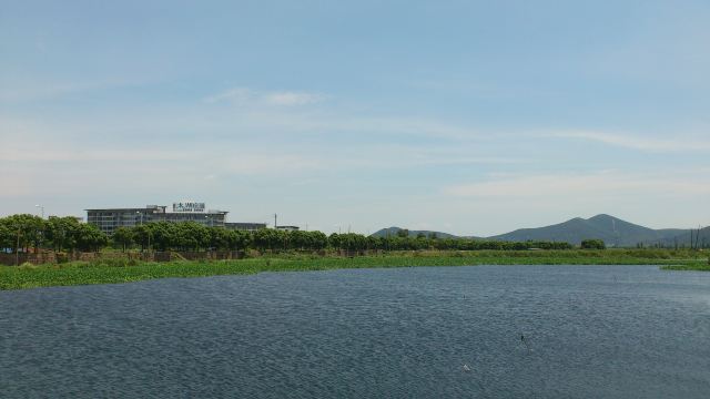 从中国花木之都武进夏溪镇出发,沿着长虹西路进入常州环城高架,全程