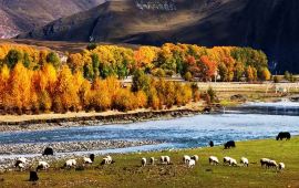 康定新都桥天气预报,历史气温,旅游指数,新都桥