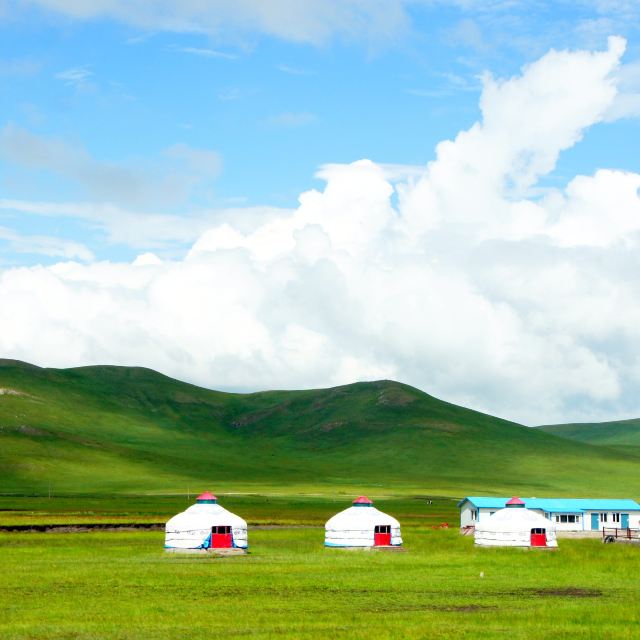 海拉尔附近很多这样的蒙古包,其实就是当地人自己开的吃饭,骑马,射箭