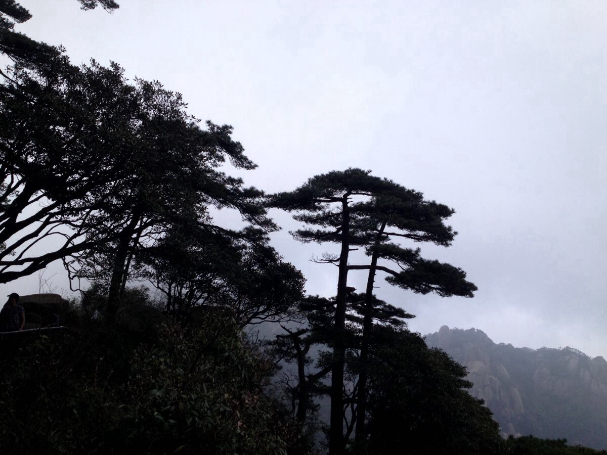 江西上饶三清山二日游