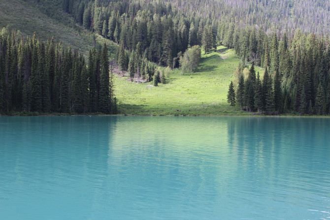 自驾游世界之加拿大西部温哥华-班夫-嘉士伯-维