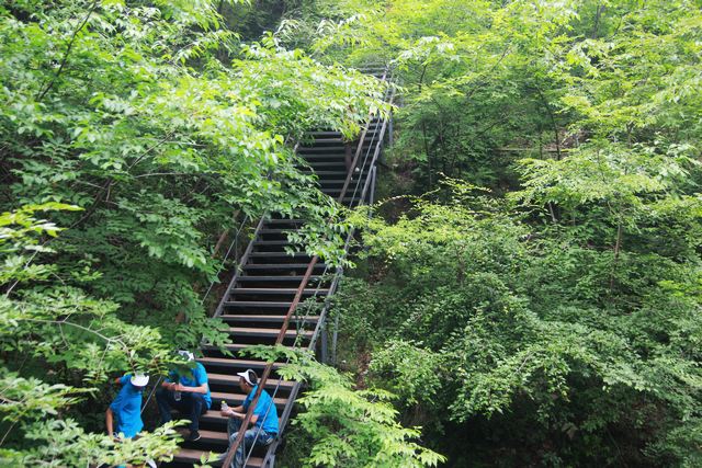 百里峡栈道,百里峡台阶