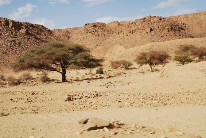 扬州大哥行走撒哈拉沙漠记行附实用贴士 旅游
