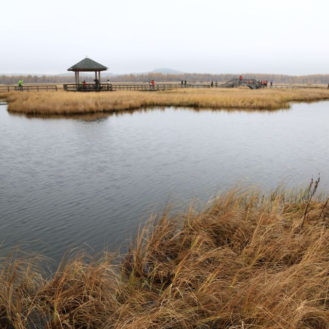 醉美塞罕坝