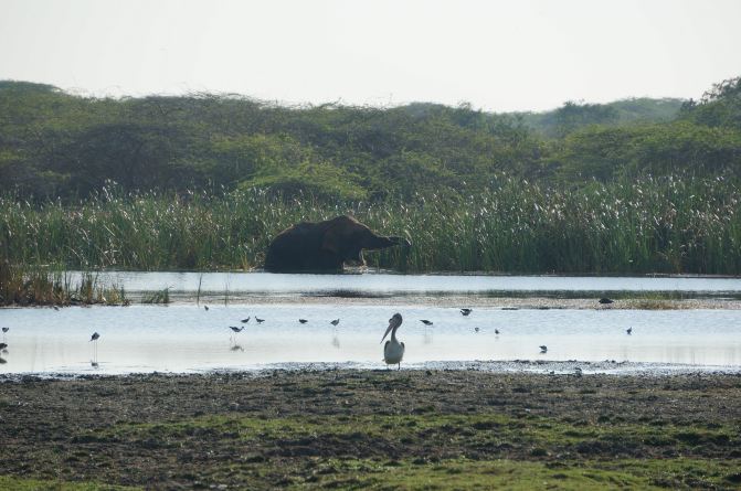 亲子游斯里兰卡8日7晚自由行实用攻略 - 斯里兰
