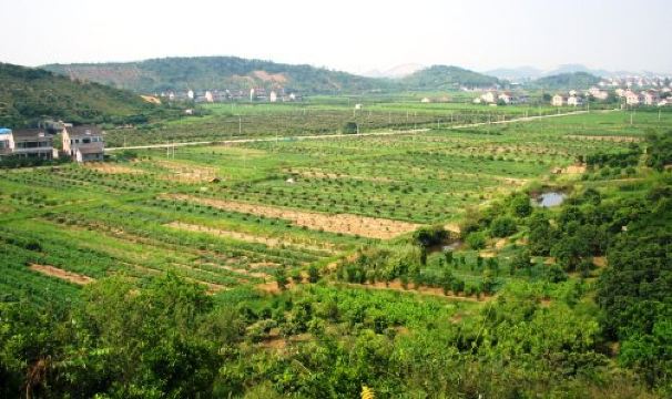 黄湾尖山村门票,海宁黄湾尖山村攻略/地址/图片/门票价格【携程攻略】