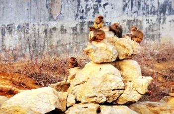 【携程攻略】王府游乐园门票,青州王府游乐园