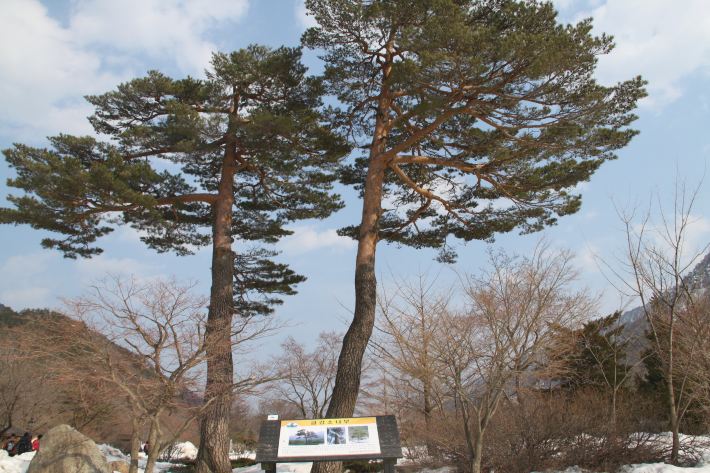 不懂韩语英语照样韩国首尔江原道妥妥五日自助