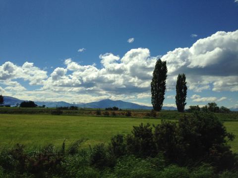 11月新西兰南北岛11天携程跟团游 - 基督城游