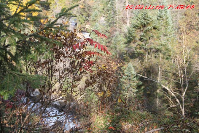 呼伦贝尔大草原、长白山、五大连池、镜泊湖、