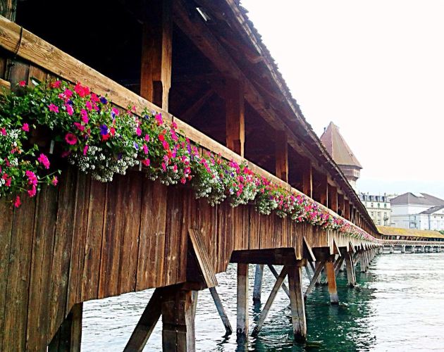 带着父母去法国玩瑞典 人均15000的跟团自由