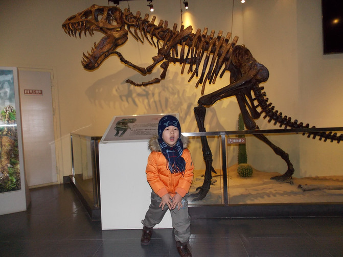 大连恐龙馆、星海广场、老虎滩乐园春节自驾亲