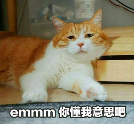 10010q000000goa5bA4E7_R_1024_10000_Q90.png