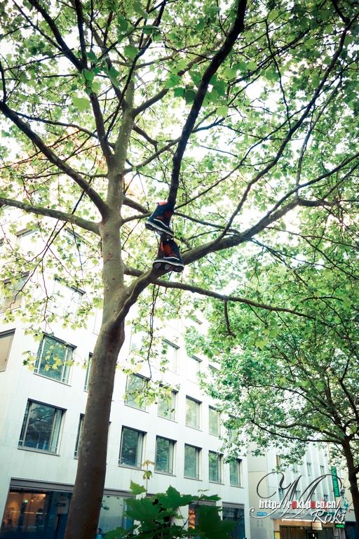 有人把鞋挂在了树上,够有才 苏黎世