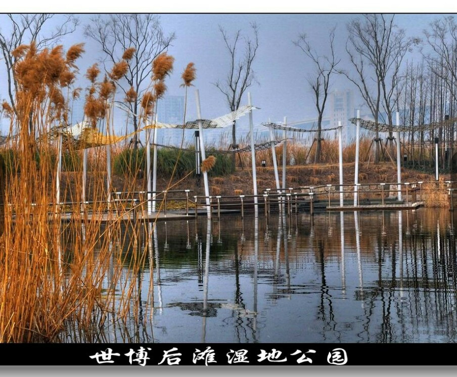 上海后滩湿地公园游记