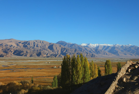 2017国庆.我在塔里木盆地转了小半圈