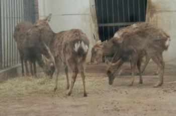 【携程攻略】徐州徐州动物园团购,徐州动物园