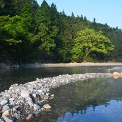 10080j000000b063gA18B_D_240_240.jpg