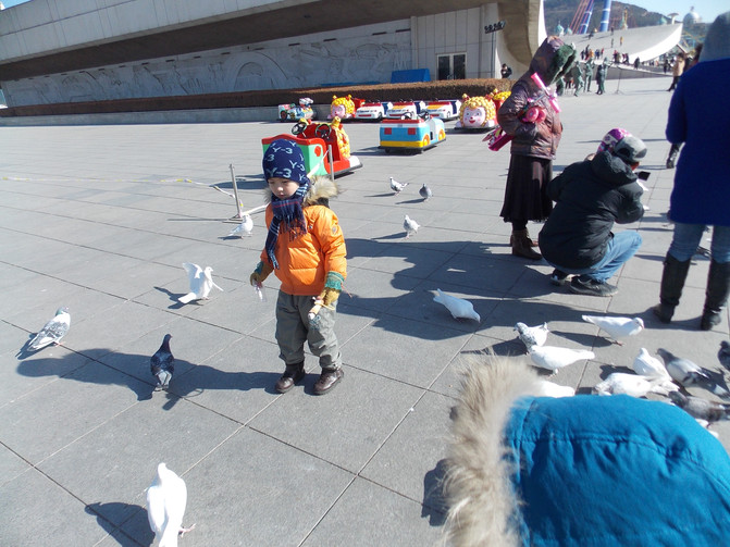 大连恐龙馆、星海广场、老虎滩乐园春节自驾亲