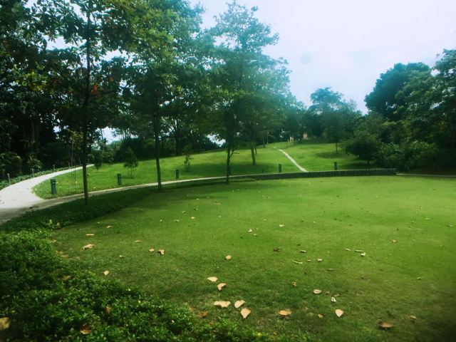 小山坡绿化真美,环境也很幽静.