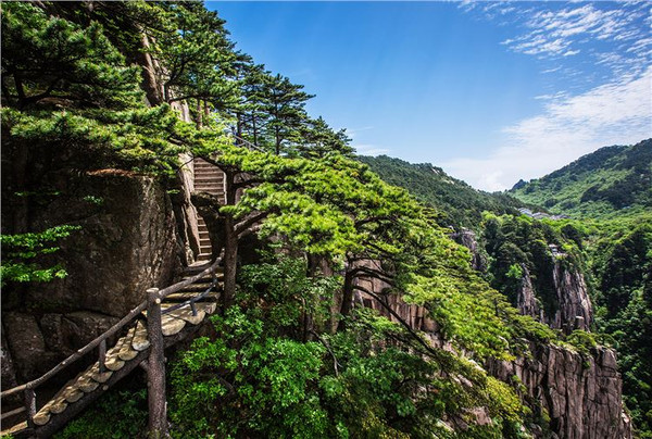 黃山,只為那如痴如醉的絕美景色 閱盡冷豔黃山至純至美