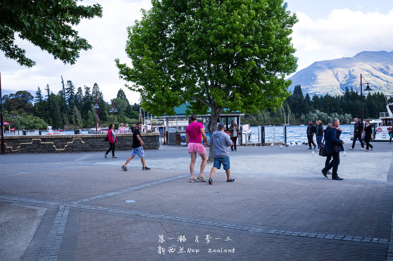 【新西兰】纯净之旅(奥克兰、汉密尔顿、罗托
