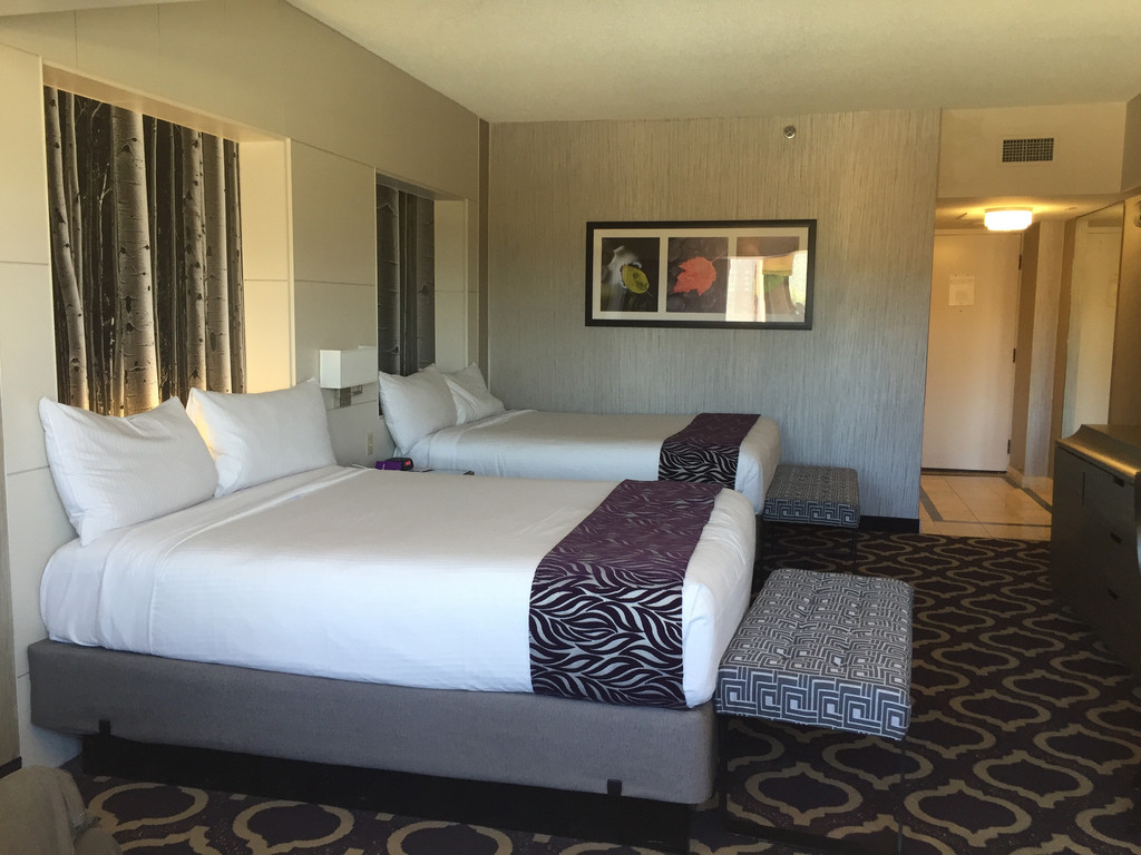 酒店房间,两张king size大床