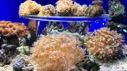 水缤纷海洋王国