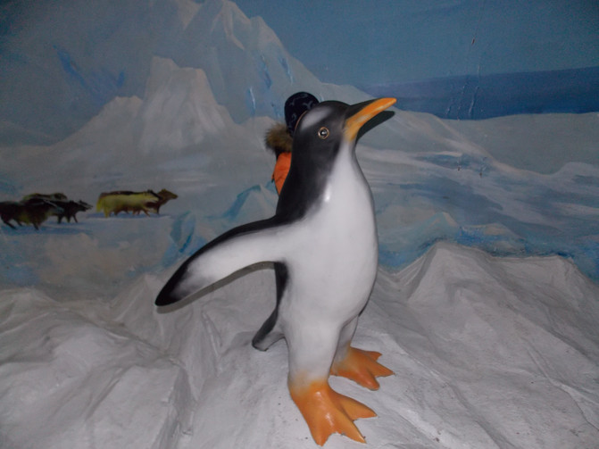 大连恐龙馆、星海广场、老虎滩乐园春节自驾亲