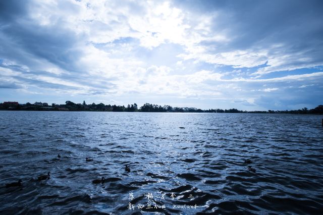 【新西兰】纯净之旅(奥克兰、汉密尔顿、罗托