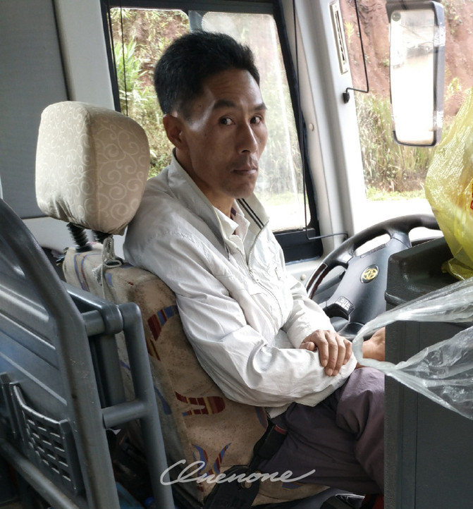 菩提树下,占芭花开(老挝琅勃拉邦、丰沙湾、万