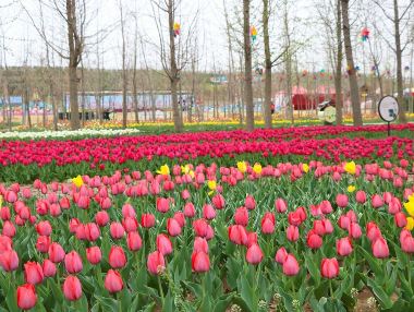 临沂赛石沂水花彩小镇攻略,赛石沂水花彩小镇