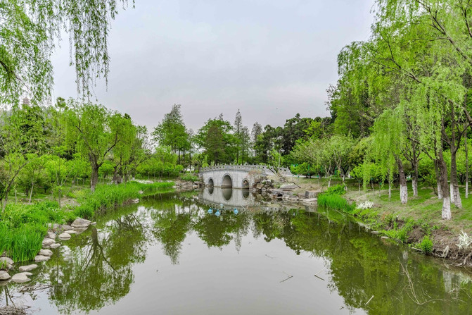 猎艳行动#【南通】你是我的诗篇,读你千遍也不厌倦