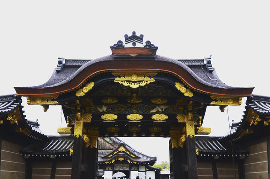 【慢行之日本】阳春四月樱花记,超详细的东京-大阪-京都-奈良-镰仓