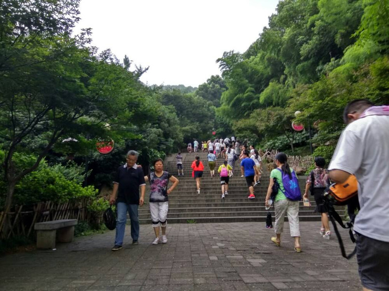 长沙岳麓山--可可清吧一日游 - 长沙游记攻略