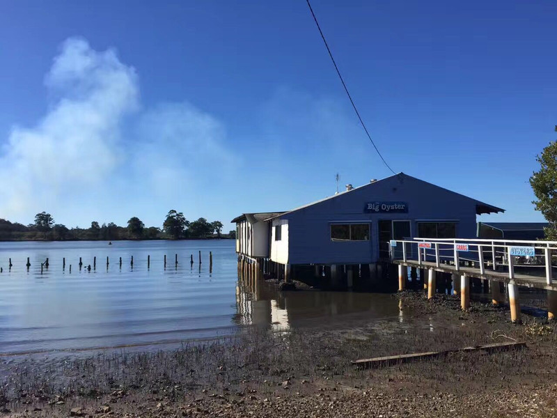 七月的冬天--大堡礁-悉尼 - 布里斯班游记攻略