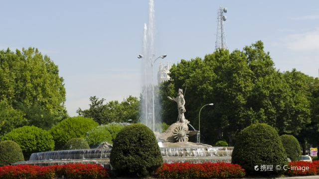 卡诺巴斯·卡斯蒂利奥广场 plaza de canovas del castillo