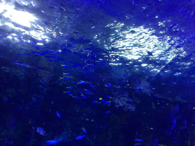 100l0f0000007hjuu9B03_C_671_10000_Q90.jpg