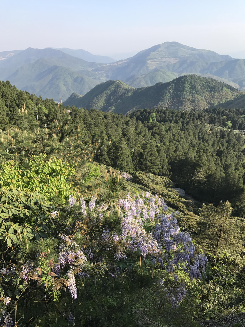 【天台山游记】佛宗道源国清古寺,山灵水秀石梁飞瀑