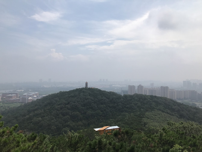 菊花岛人口_兴城菊花岛图片(2)