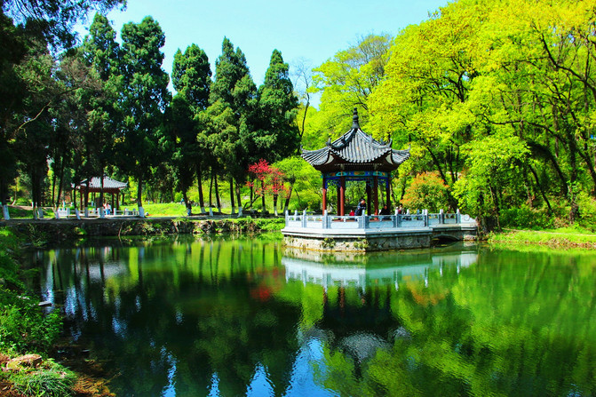 荆州市经济总量_荆州市地图(2)