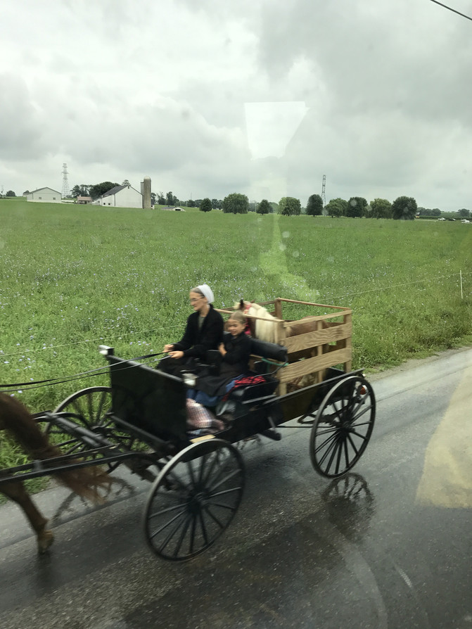 美国东部,一部游走的美国历史! - 美国游记攻略