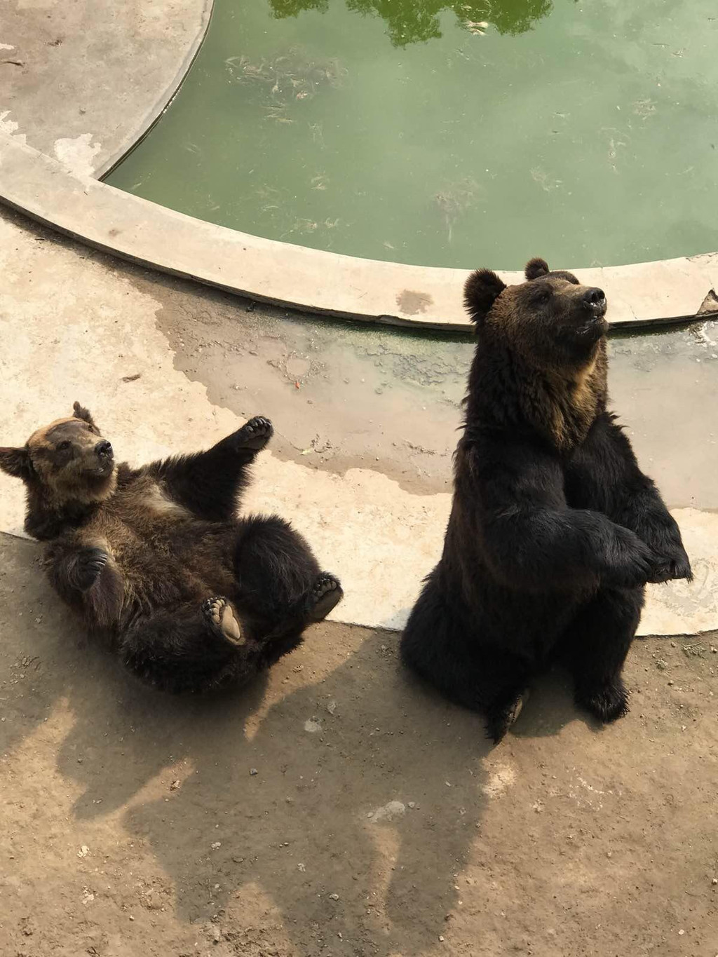 太原動物園